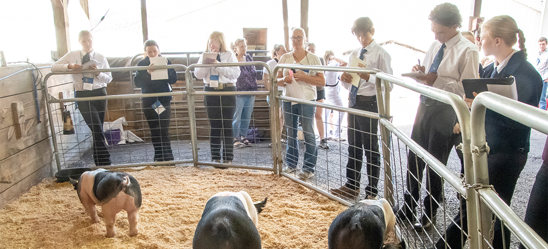 Career Development Events